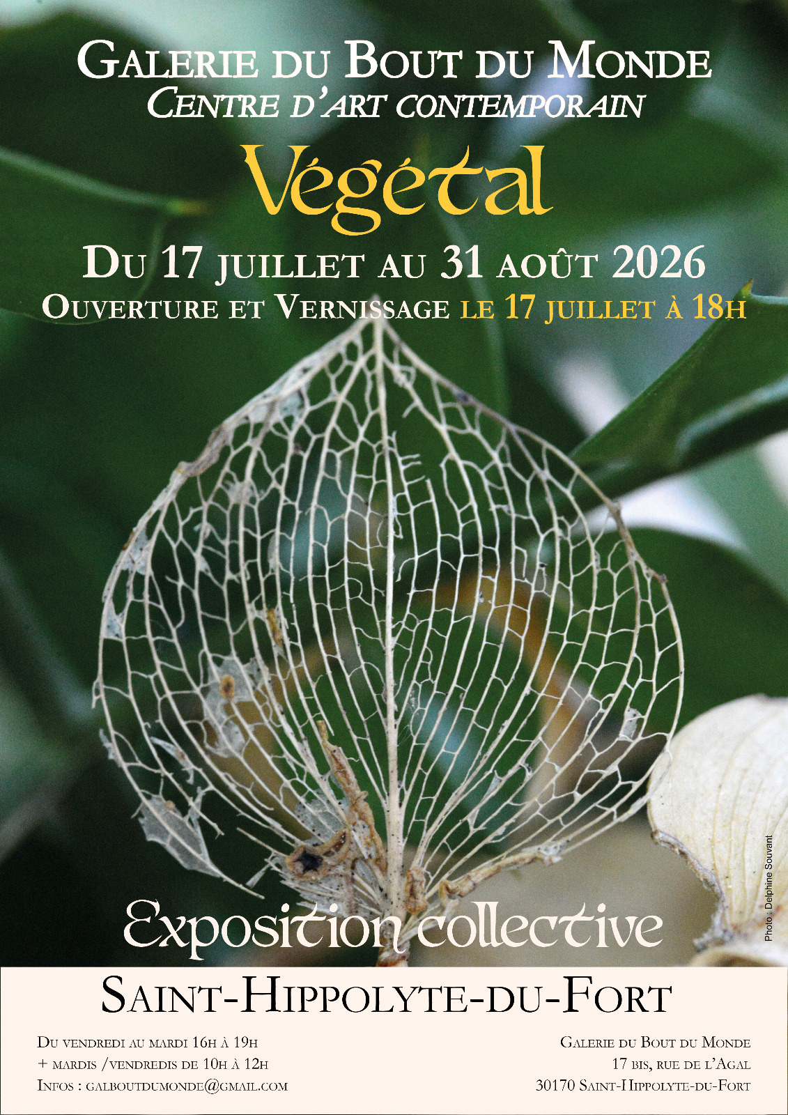Atelier papier végétal