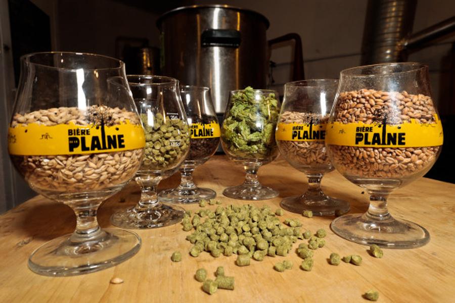 Journée de brassage