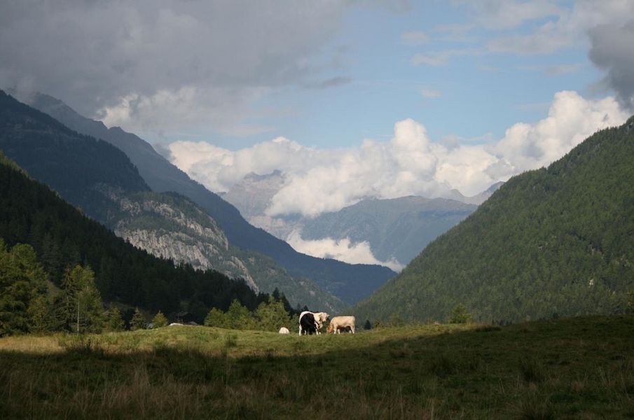 Buet Extérieur été 3