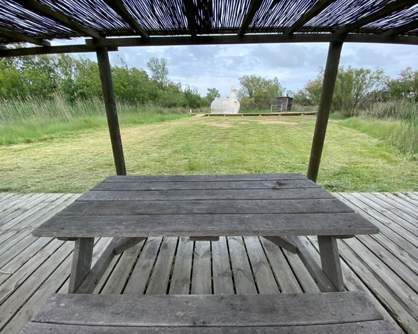 Aire de pique-nique des Marais du Vigueirat