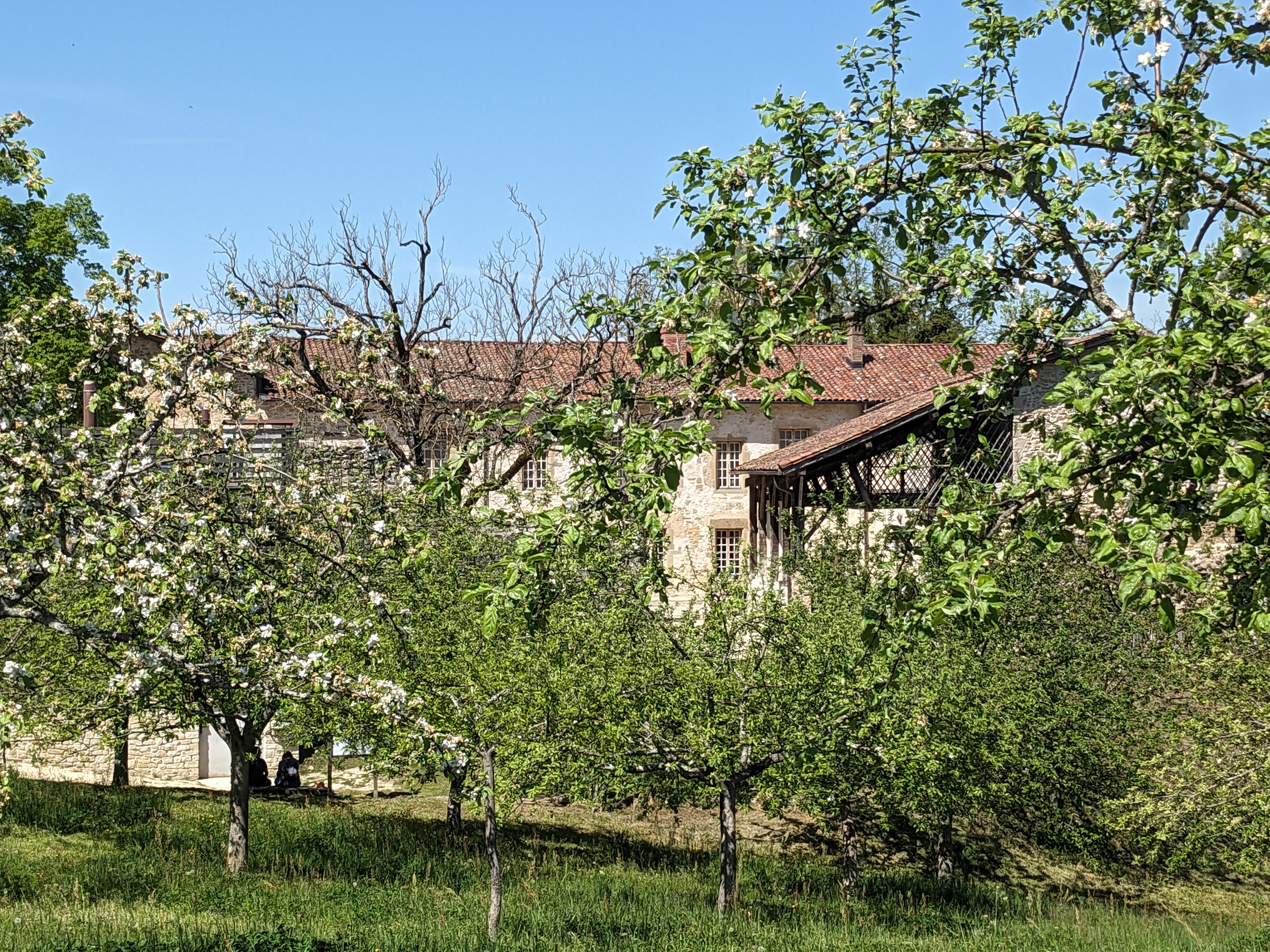 pxl_20240414_114529336.jpg