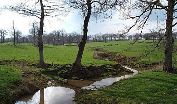 Oradour Fanais sentier la Blourde