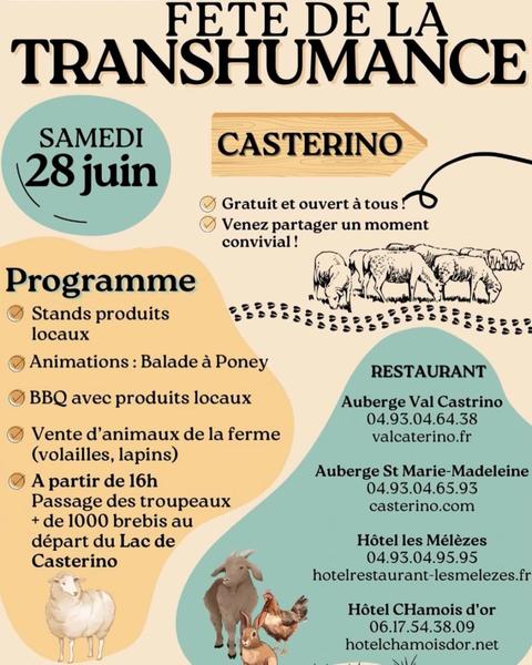 Programme 2025