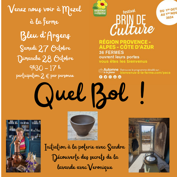 Brin de culture Du 26 au 27 oct 2024