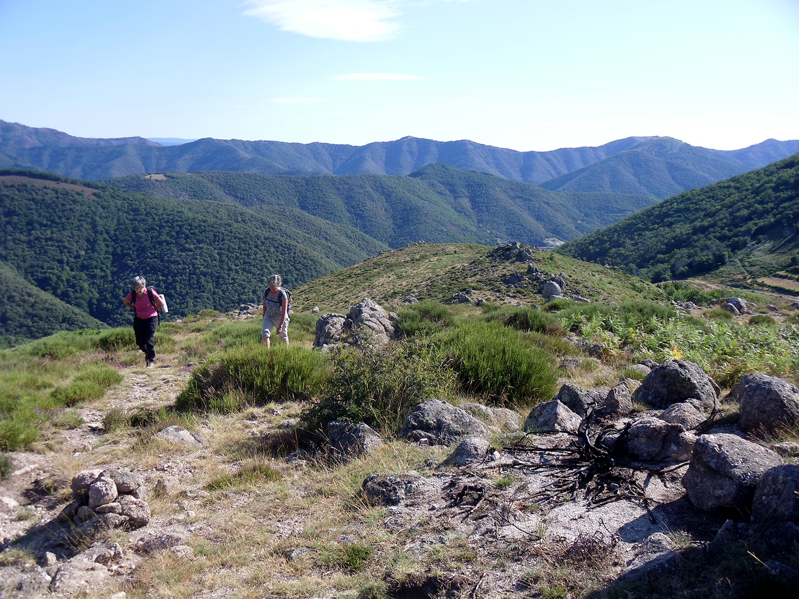 Carnet de croquis dans les Cevennes