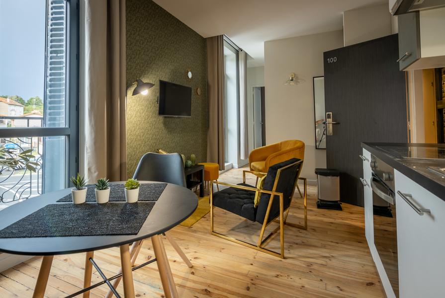 Meublé Puy de la Vache - 100