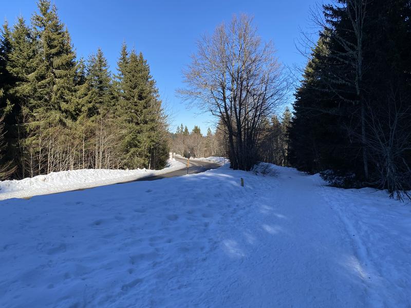 Itinéraire raquettes à neige : la petite traversée_Le Revard