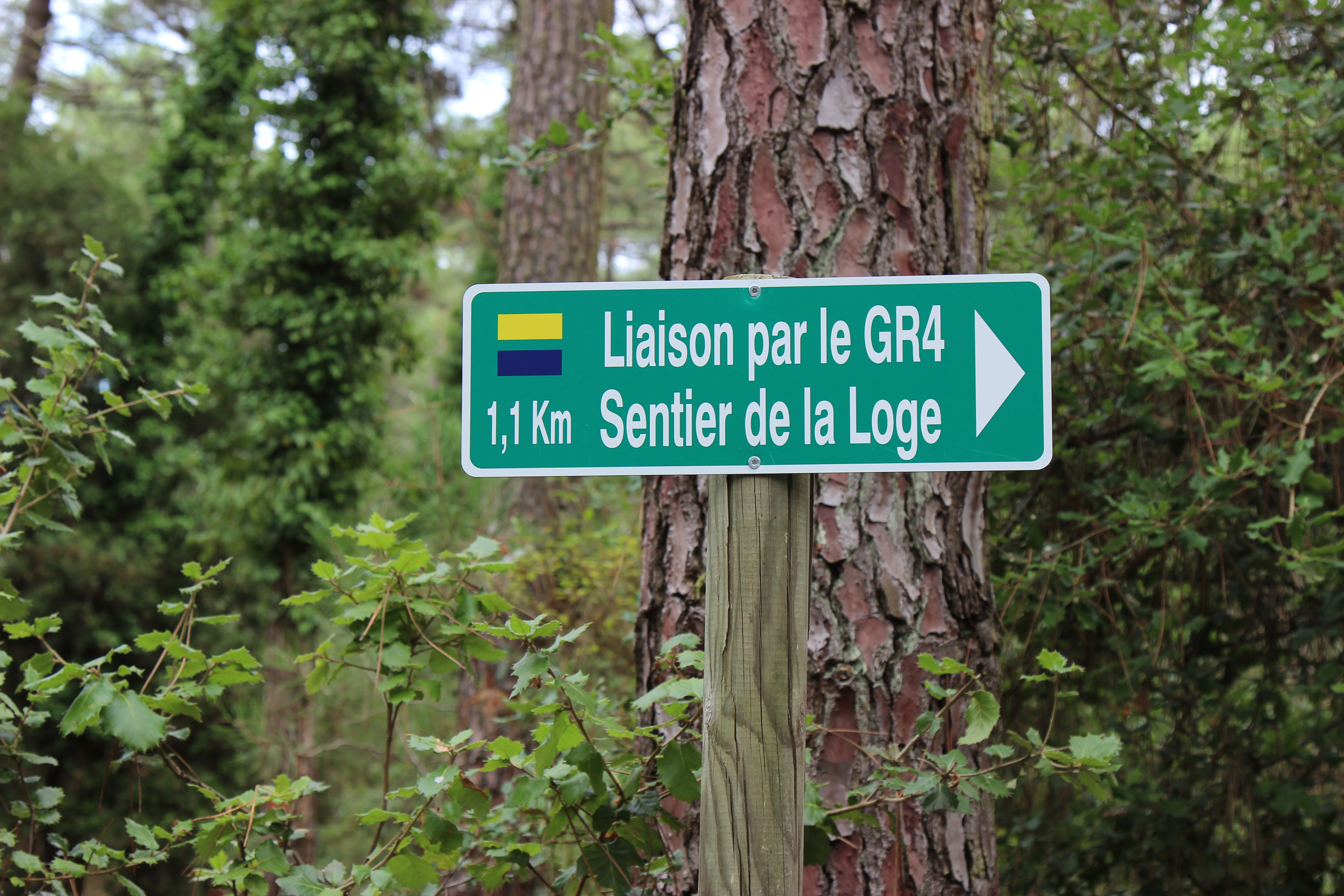 Sentier de liaison : du sentier des 4 Fontaines à celui de la Loge