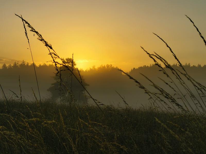 levé de soleil maison longue.jpg