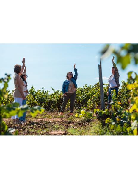 Balades et dégustations sophrologiques au Cellier des Princes_Courthézon
