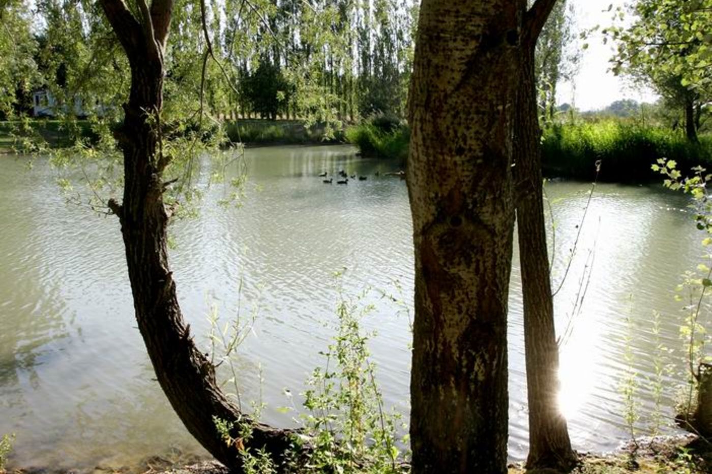 Domaine de Méjeans, Alleins - photo 9