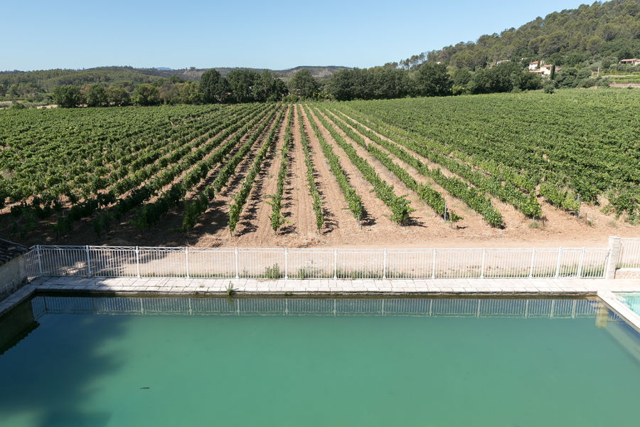 Château Nestuby - Cotignac