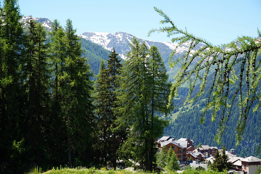 Balade Vallandry Arc 1800