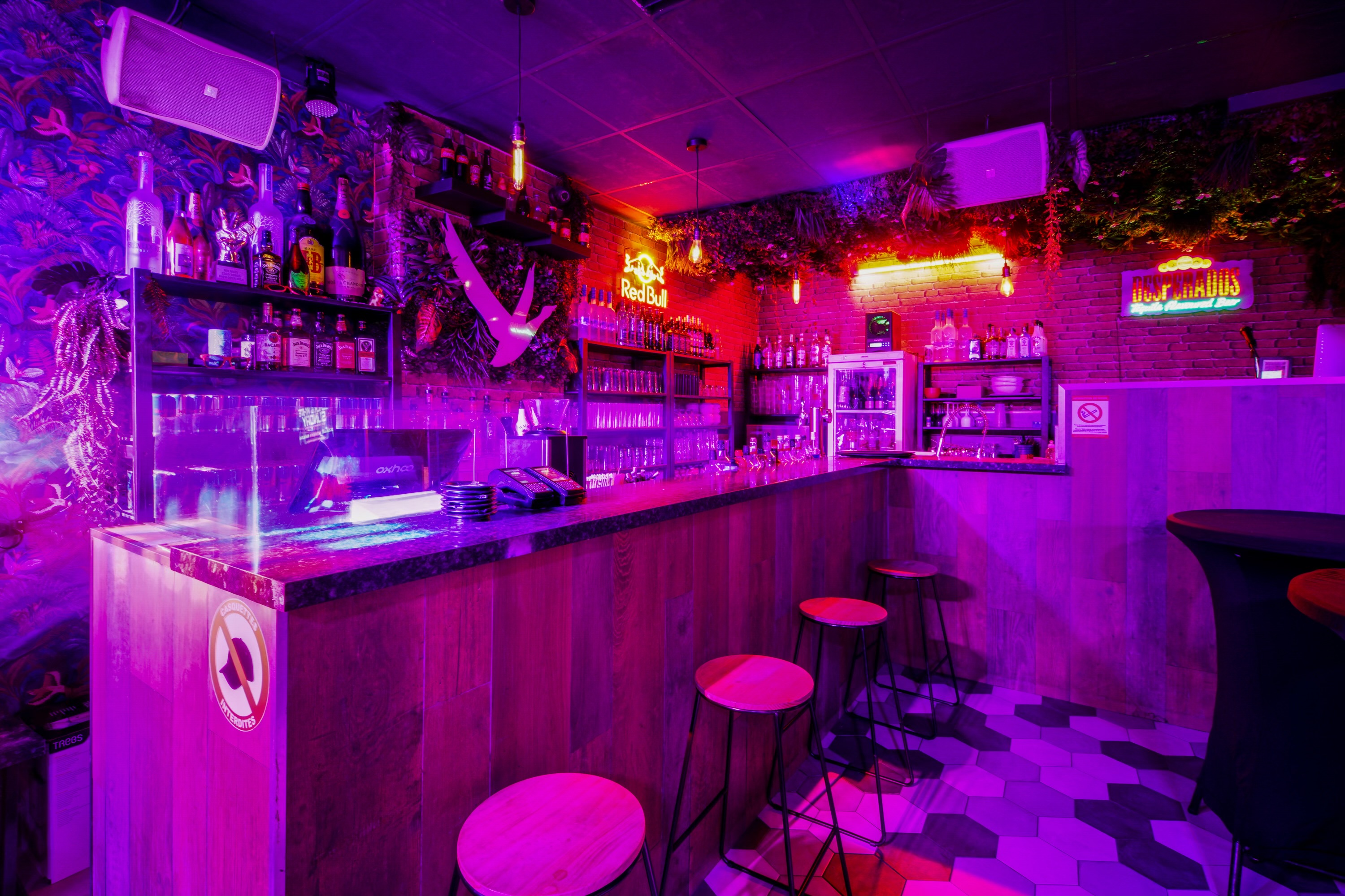 Coco Bongo, Marseille 8e Arrondissement - photo 3