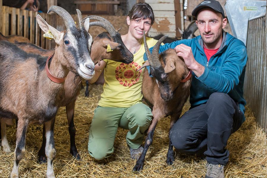 La chèvrerie des Ardoisières_Morzine