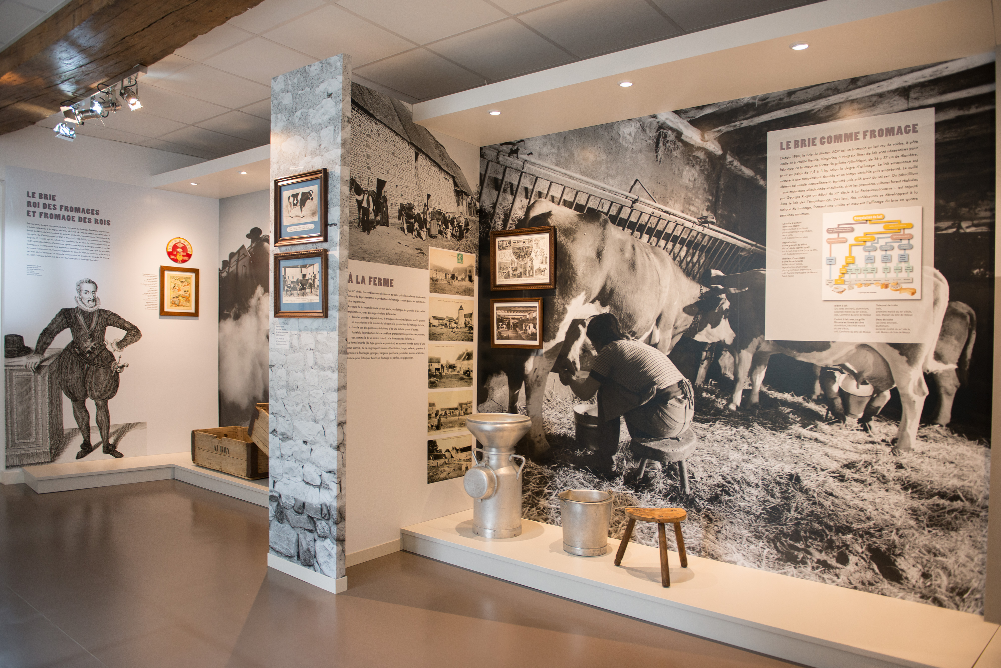 Visite guidée de la Maison du Brie de Meaux et dégustation_Meaux