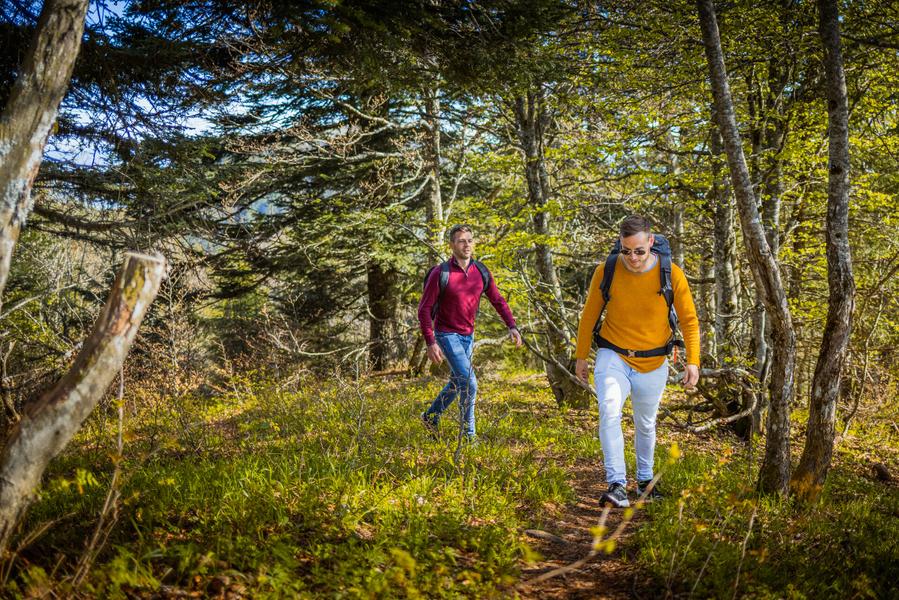 Randonnée aux Voirons