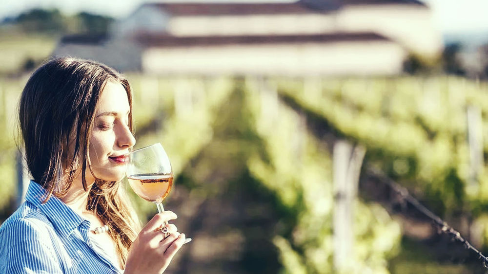 Savourez les différentes cuvées