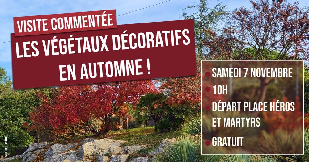 Visite : découvrez les végétaux décoratifs en automne !