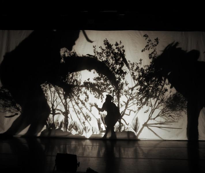 Jeune public - Théâtre d'ombres 