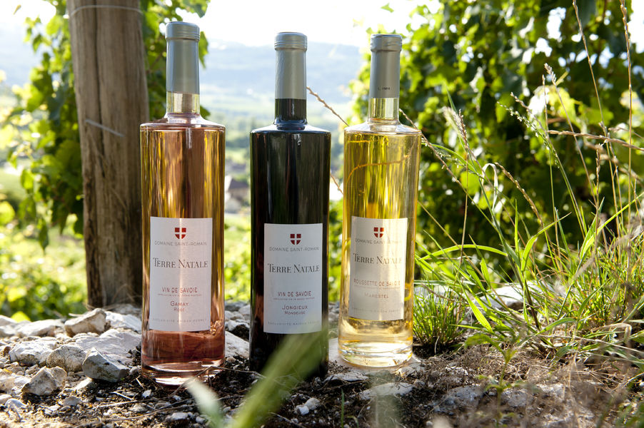 La Cave à Perret / Domaine St Romain