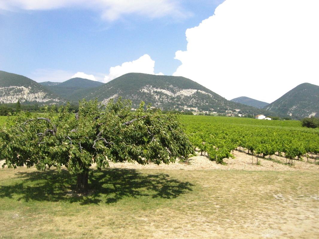 Vue depuis le gîte