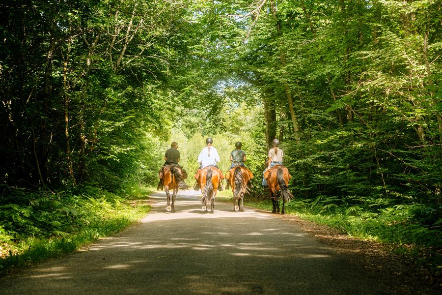 Les Chemins de Mandrin - Chambaran