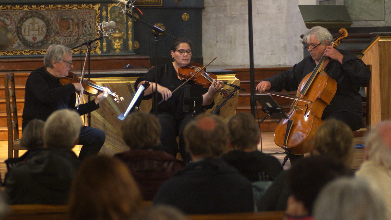 Les Saisons musicales en Ré - Sérénade en trio