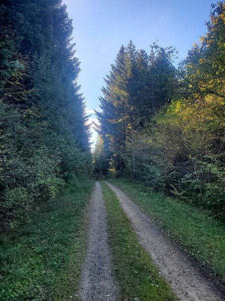 Montée depuis Terre Ronde