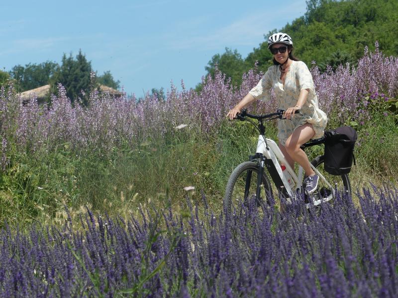 Terre de lavande et terres noires_Sainte-Jalle