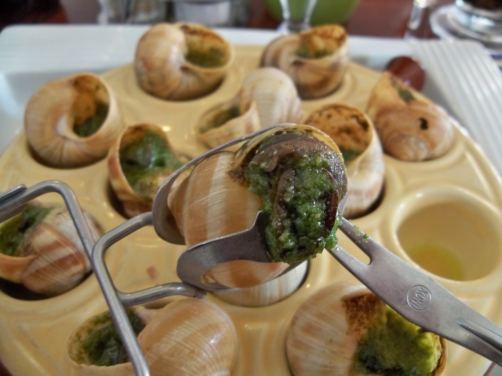L'Escargot des Alpilles — photo 3