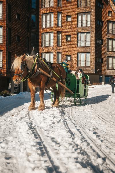 Transport Station Avoriaz_Avoriaz