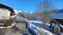 Image 800x600_longues-poses-vue-location-appartement-chalet-les-gets-15042648