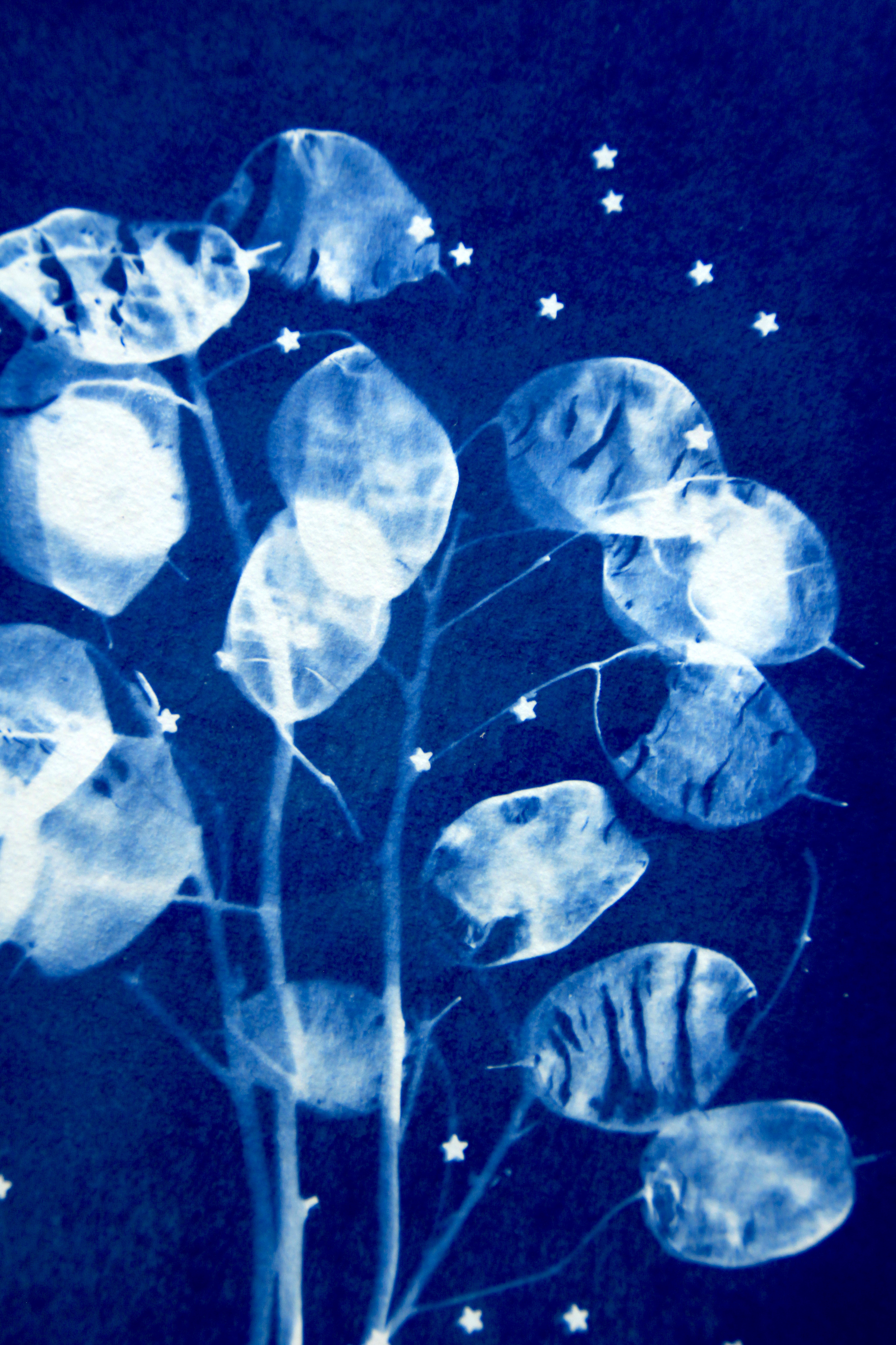 Atelier cyanotype
