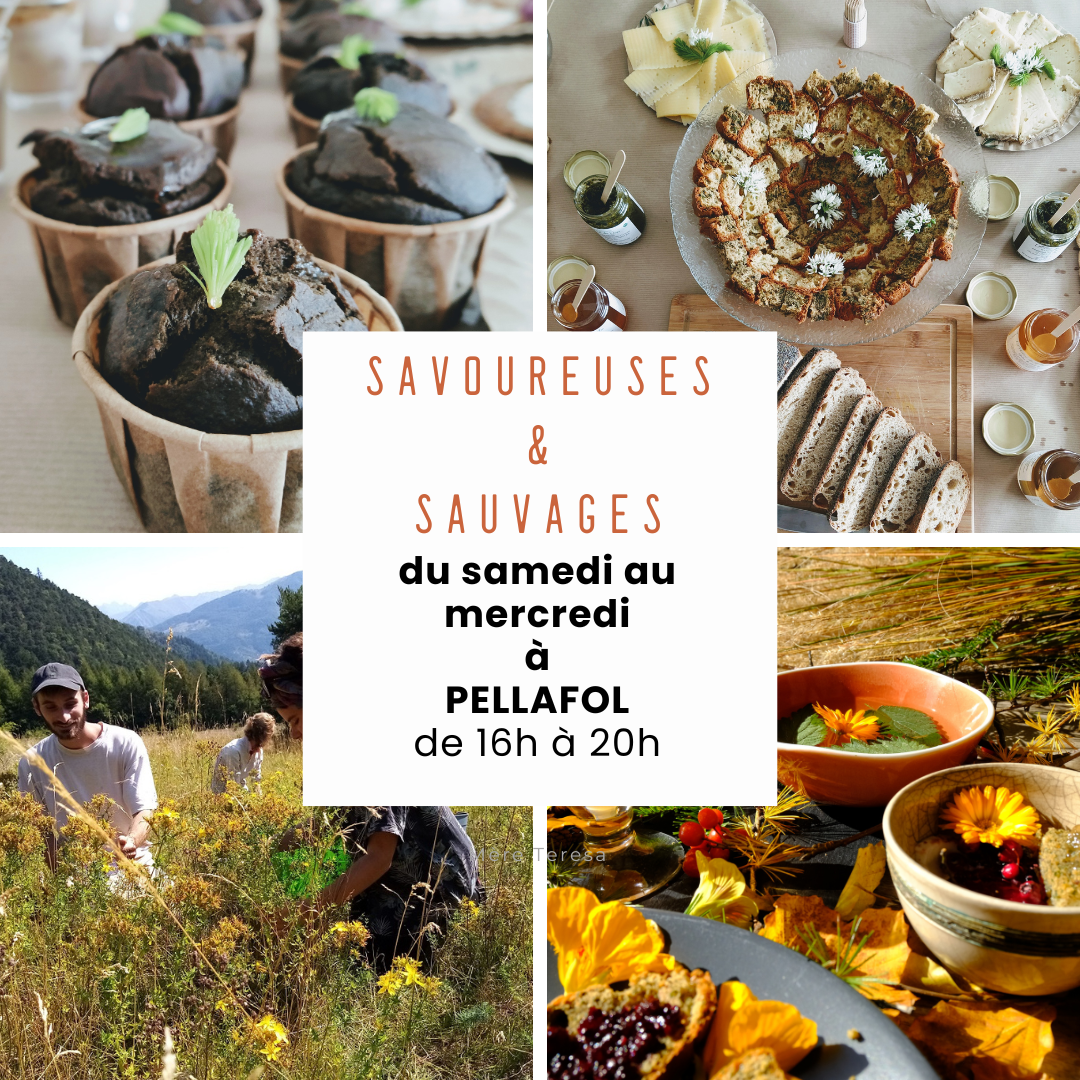 L'apéro sauvage