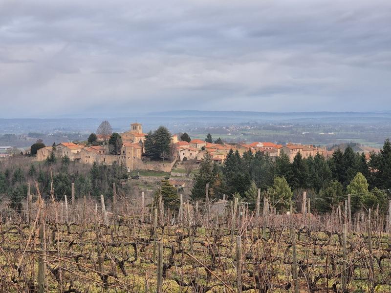 Vue de Saint-Haon-le-Châtel