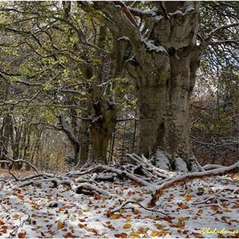 Le puy de la Nugère, un des trésors de la Chaîne des Puys - faille de Limagne