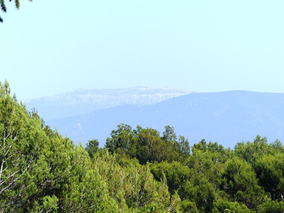 Lilas, Cadolive - photo 19