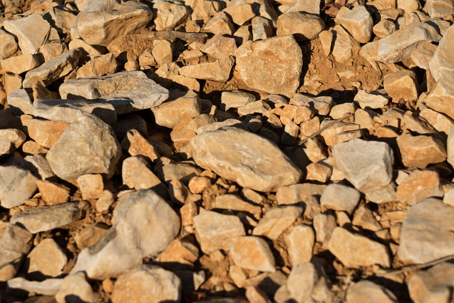 Domaine de Grangeneuve - Roussas