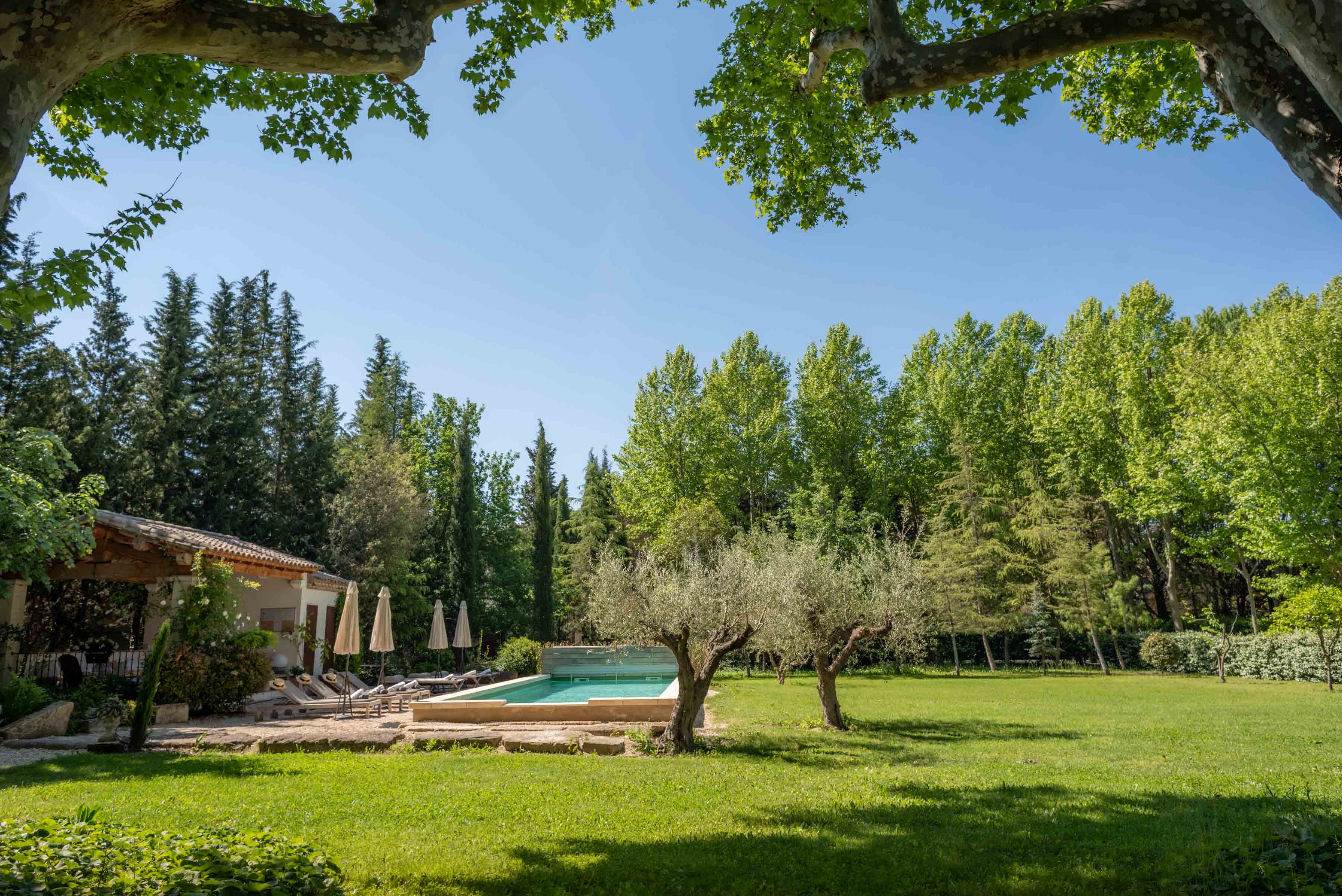 Mas des Pampres - photo 5