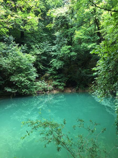 Circuit de randonnée pédestre : La vie du Loup