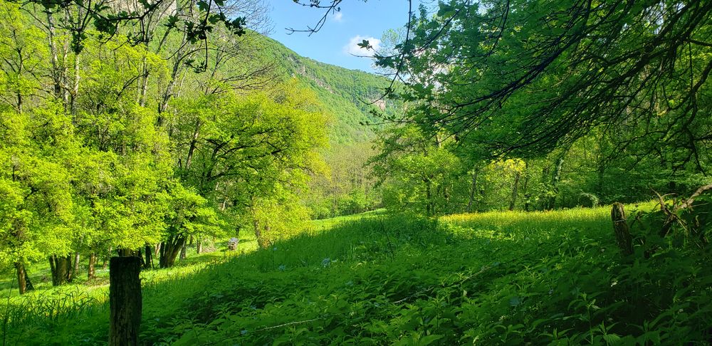 Randonnée des cuves du Buizin