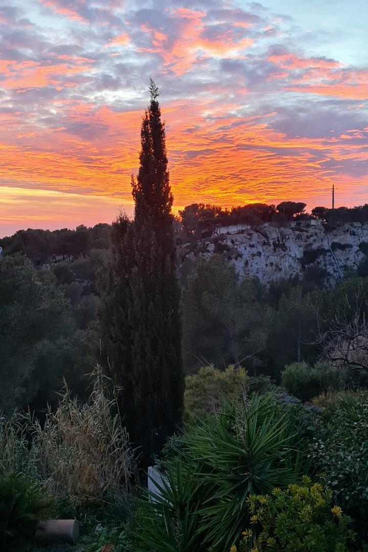 Les Restanques, Ensuès-la-Redonne - photo 19