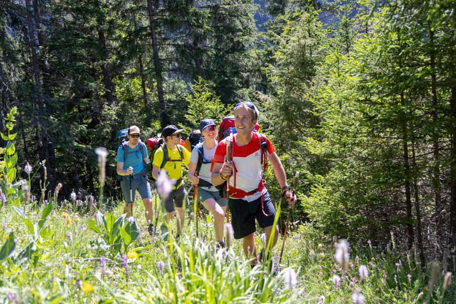 CHALET DU PERRON - COL DU MOLLARD