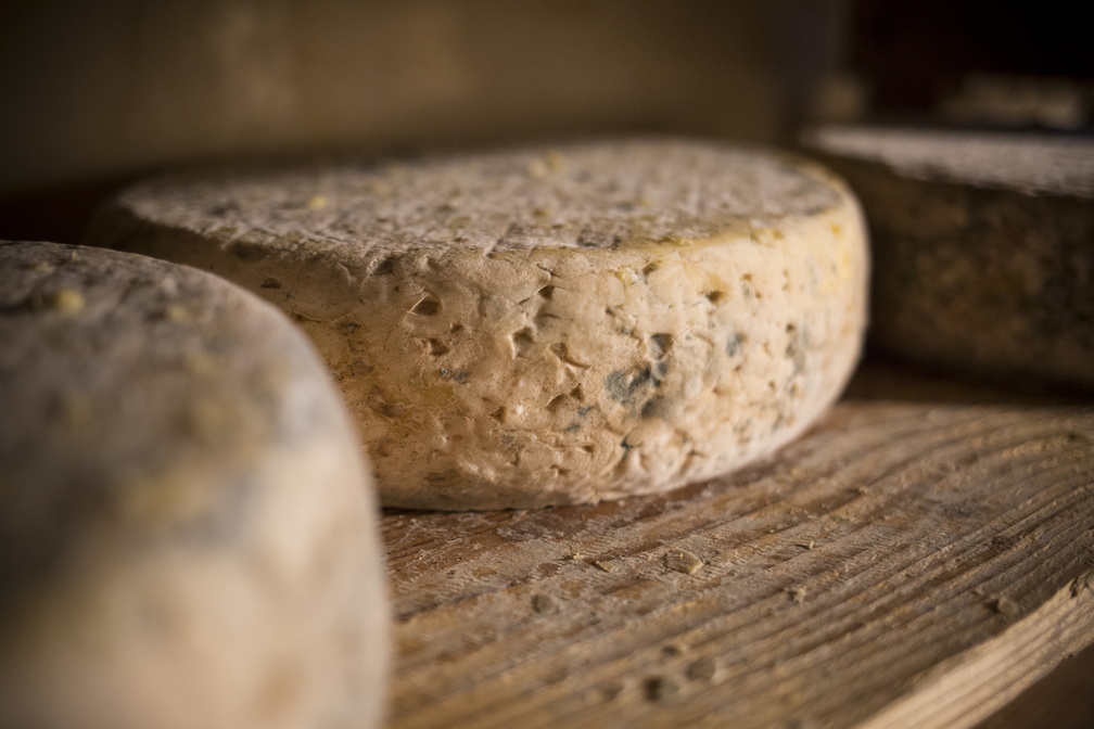 Fromage bleu du vercors sassenage