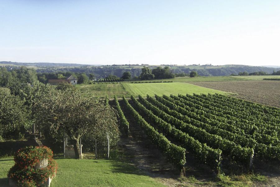 EARL Noël Martin - viticulteur - Saint-Chef, cité abbatiale - Balcons du Dauphiné