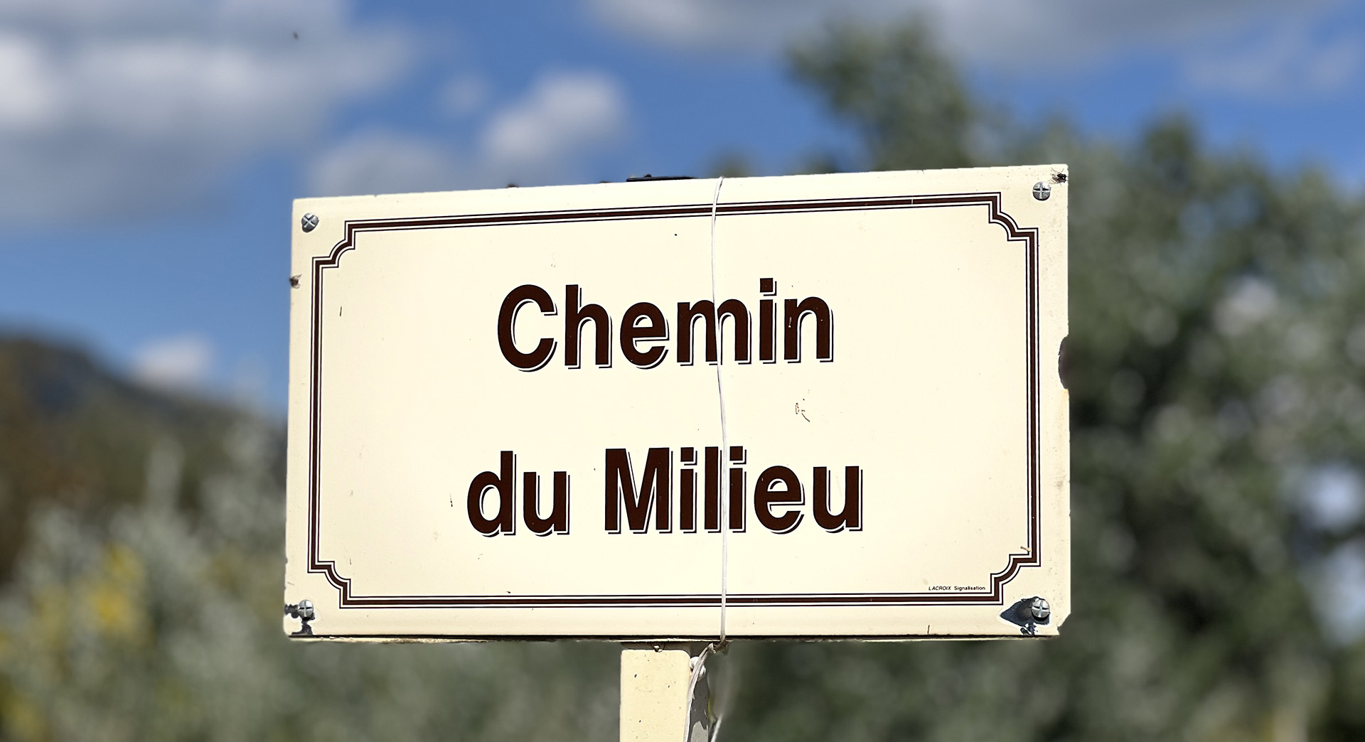 Domaine des Alpilles - photo 5