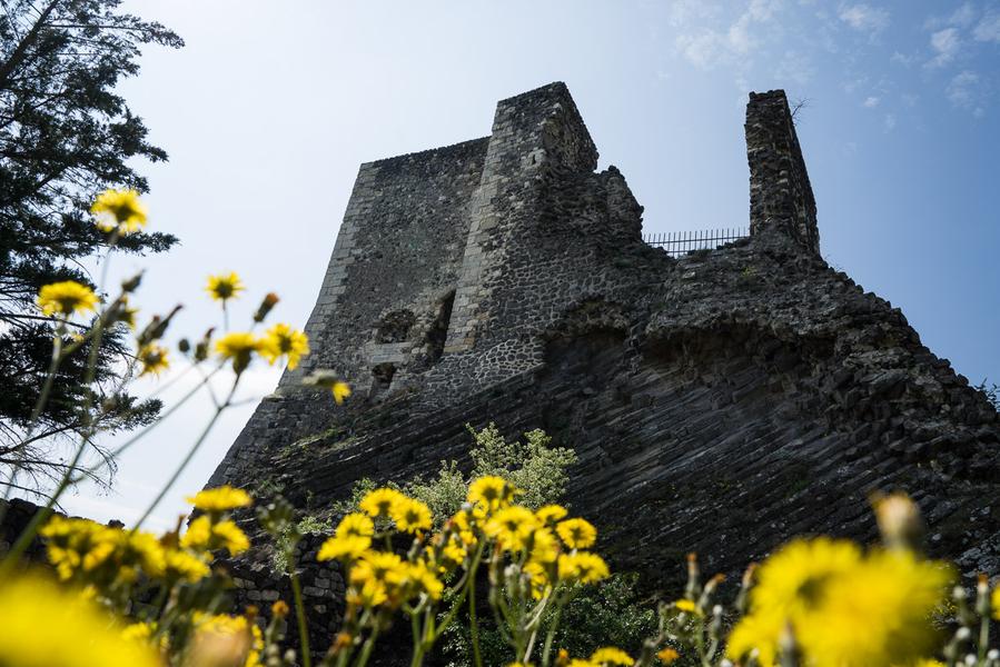 Vue du château de Rochemaure