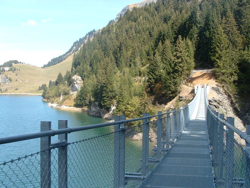 passerelle de St Guerin