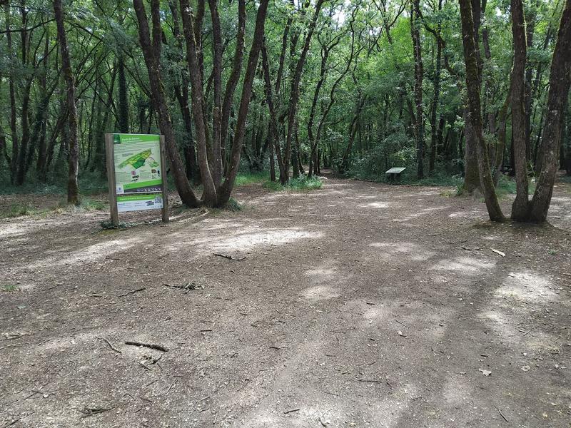 Parcours Explorama - sentier Forêt de Benon